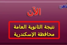 نتيجة الصف الثالث الثانوي 2024 محافظة الإسكندرية-نتيجة الثانوية العامة 2024 محافظة الإسكندرية بالاسم فقط ورقم الجلوس