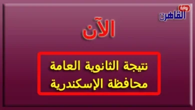 نتيجة الصف الثالث الثانوي 2024 محافظة الإسكندرية-نتيجة الثانوية العامة 2024 محافظة الإسكندرية بالاسم فقط ورقم الجلوس