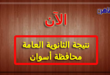 نتيجة الثانوية العامة 2024 محافظة أسوان بالاسم فقط ورقم الجلوس-نتيجة الصف الثالث الثانوي 2024 محافظة أسوان