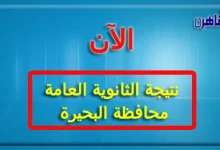 نتيجة الصف الثالث الثانوي 2024 محافظة البحيرة-نتيجة الثانوية العامة 2024 محافظة البحيرة بالاسم فقط ورقم الجلوس