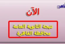 نتيجة الثانوية العامة 2024 محافظة القاهرة بالاسم فقط برقم الجلوس-نتيجة الصف الثالث الثانوي 2024 محافظة القاهرة