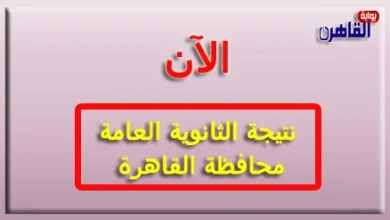 نتيجة الثانوية العامة 2024 محافظة القاهرة بالاسم فقط برقم الجلوس-نتيجة الصف الثالث الثانوي 2024 محافظة القاهرة