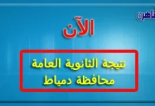 نتيجة الثانوية العامة 2024 محافظة دمياط بالاسم فقط ورقم الجلوس-نتيجة الصف الثالث الثانوي 2024 محافظة دمياط