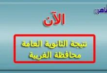 نتيجة الصف الثالث الثانوي 2024 محافظة الغربية-نتيجة الثانوية العامة 2024 محافظة الغربية بالاسم فقط ورقم الجلوس