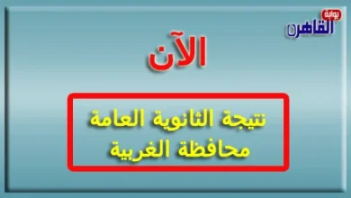 نتيجة الصف الثالث الثانوي 2024 محافظة الغربية-نتيجة الثانوية العامة 2024 محافظة الغربية بالاسم فقط ورقم الجلوس