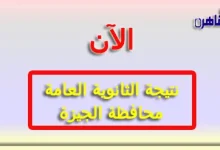 رابط نتيجة الثانوية العامة 2024 محافظة الجيزة بالاسم فقط ورقم الجلوس-نتيجة الصف الثالث الثانوي 2024 محافظة القاهرة