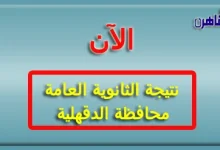 نتيجة الثانوية العامة 2024 محافظة الدقهلية بالاسم فقط ورقم الجلوس-نتيجة الصف الثالث الثانوي 2024 محافظة الدقهلية