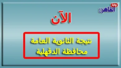 نتيجة الثانوية العامة 2024 محافظة الدقهلية بالاسم فقط ورقم الجلوس-نتيجة الصف الثالث الثانوي 2024 محافظة الدقهلية