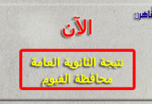 نتيجة الثانوية العامة 2024 محافظة الفيوم بالاسم فقط ورقم الجلوس-نتيجة الصف الثالث الثانوي 2024 محافظة الفيوم