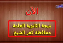 نتيجة الثانوية العامة 2024 محافظة كفر الشيخ بالاسم فقط ورقم الجلوس-نتيجة الصف الثالث الثانوي 2024 محافظة كفر الشيخ