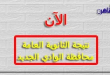 نتيجة الثانوية العامة 2024 محافظة الوادي الجديد بالاسم فقط ورقم الجلوس-نتيجة الصف الثالث الثانوي 2024 محافظة الوادي الجديد