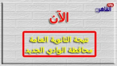 نتيجة الثانوية العامة 2024 محافظة الوادي الجديد بالاسم فقط ورقم الجلوس-نتيجة الصف الثالث الثانوي 2024 محافظة الوادي الجديد