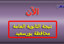 نتيجة الثانوية العامة 2024 محافظة بورسعيد بالاسم فقط ورقم الجلوس-نتيجة الصف الثالث الثانوي 2024 محافظة بورسعيد