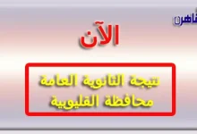 رابط نتيجة الثانوية العامة 2024 محافظة القليوبية بالاسم فقط ورقم الجلوس-نتيجة الصف الثالث الثانوي 2024 محافظة القليوبية