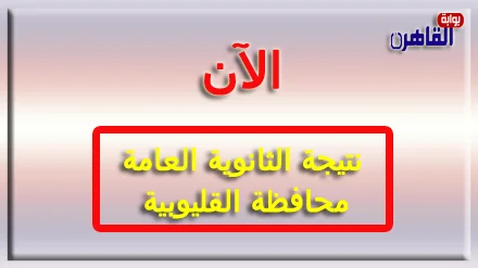 رابط نتيجة الثانوية العامة 2024 محافظة القليوبية بالاسم فقط ورقم الجلوس-نتيجة الصف الثالث الثانوي 2024 محافظة القليوبية