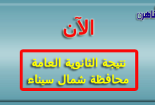 نتيجة الثانوية العامة 2024 محافظة شمال سيناء بالاسم فقط ورقم الجلوس-نتيجة الصف الثالث الثانوي 2024 محافظة شمال سيناء