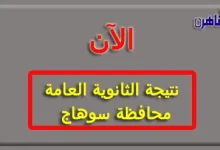 نتيجة الثانوية العامة 2024 محافظة سوهاج بالاسم فقط ورقم الجلوس-نتيجة الصف الثالث الثانوي 2024 محافظة سوهاج